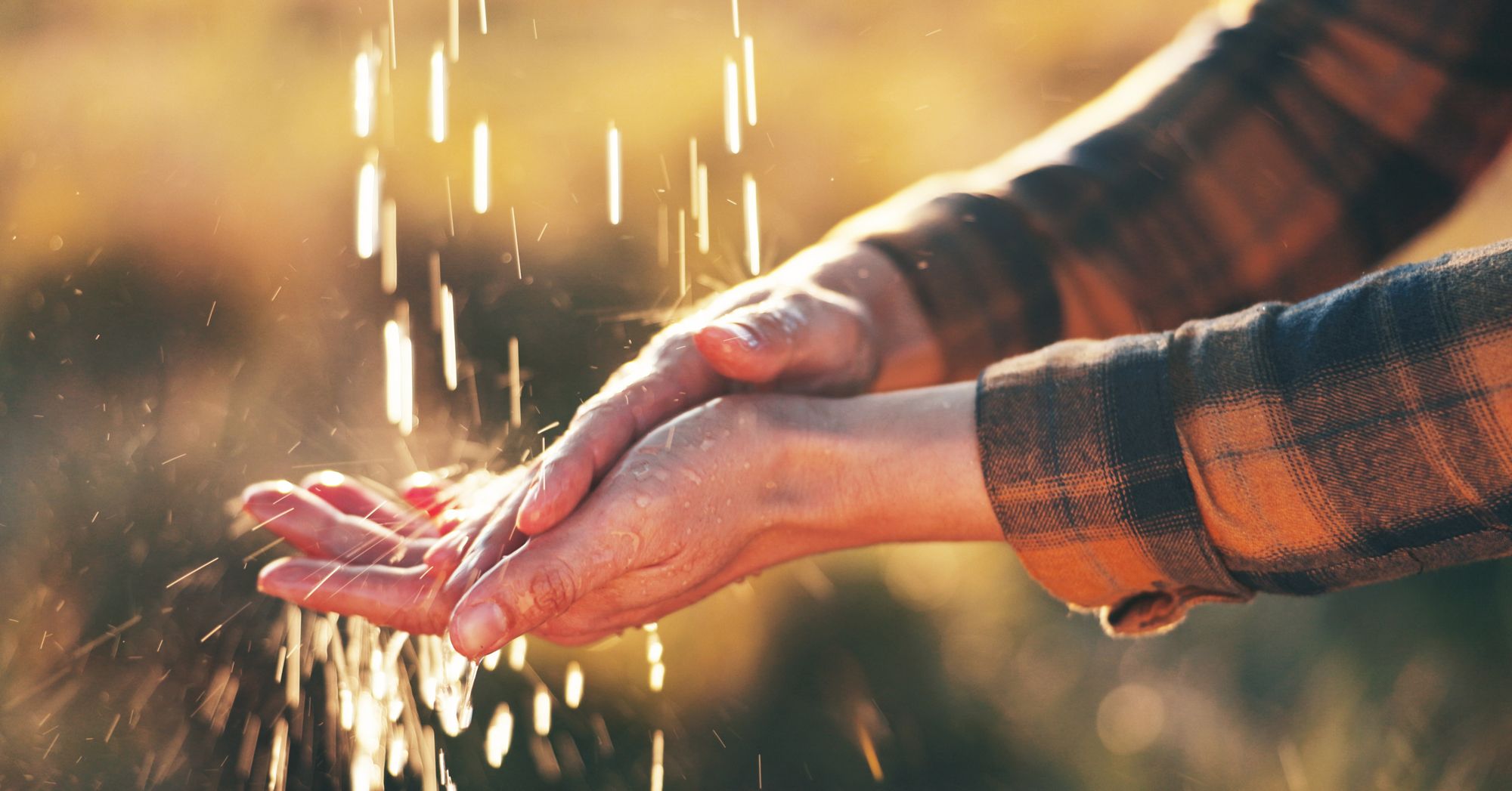 ព្រះពរ និងបណ្ដាសា (សៀវភៅសេចក្ដីពិតសម្រាប់ជីវិត)