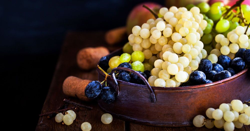 ព្រះ​បន្ទូល​សន្យា និង​ព្រះពរ (សៀវភៅសេចក្ដីពិតសម្រាប់ជីវិត)